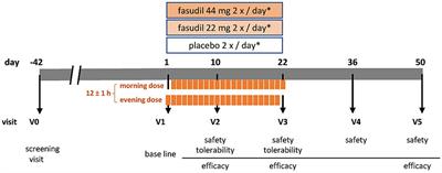 Protocol for a randomized, placebo-controlled, double-blind phase IIa study of the safety, tolerability, and symptomatic efficacy of the ROCK-inhibitor Fasudil in patients with Parkinson’s disease (ROCK-PD)